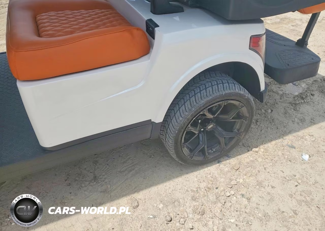 2025 Breezy Golf Cart VIN:9182469465 - 10