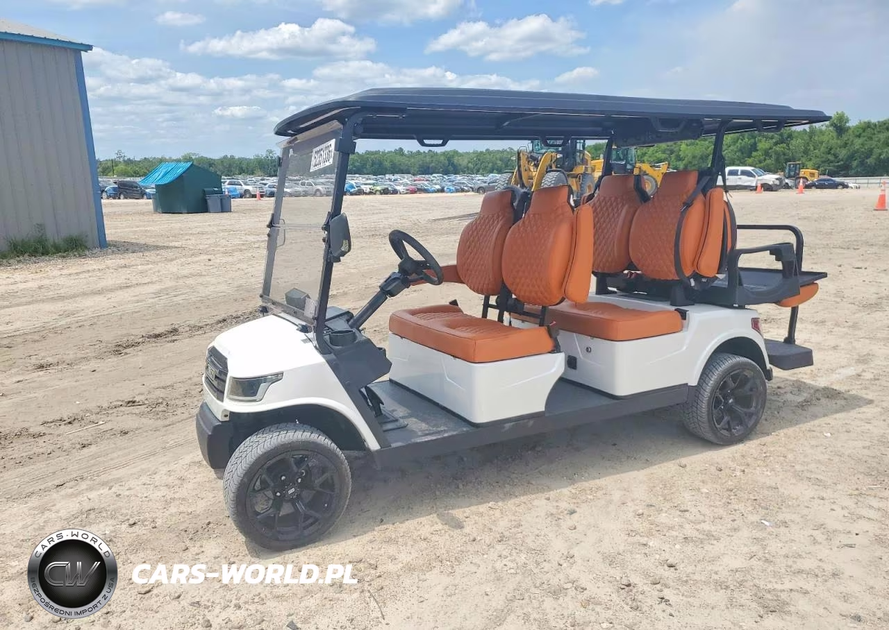 2025 Breezy Golf Cart VIN:9182469465 - 3