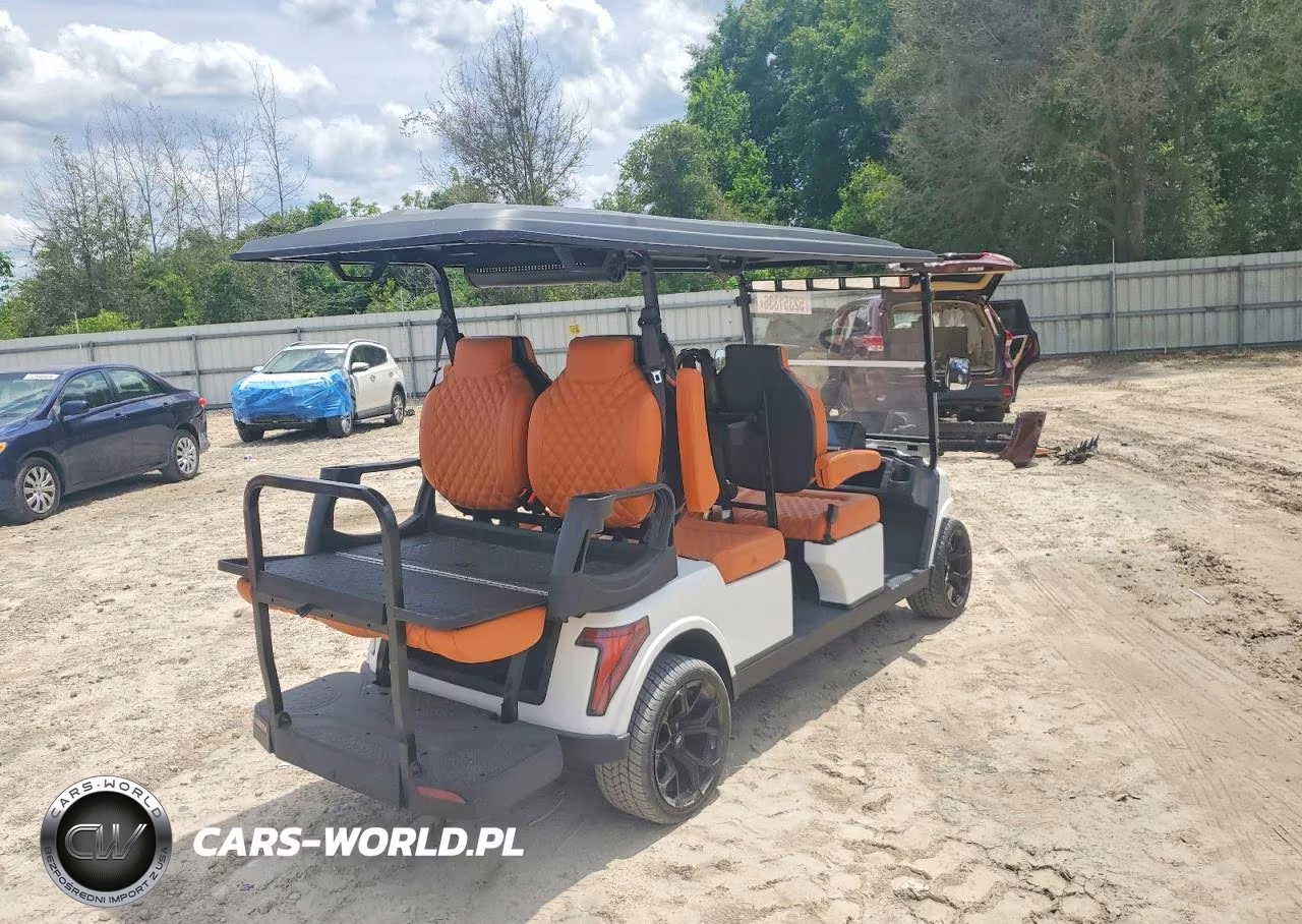 2025 Breezy Golf Cart VIN:9182469465 - 4