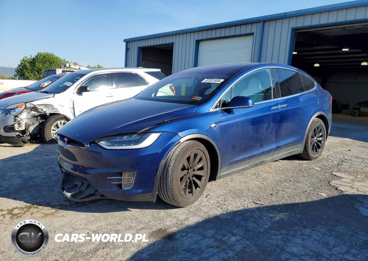 2019 Tesla Model X
