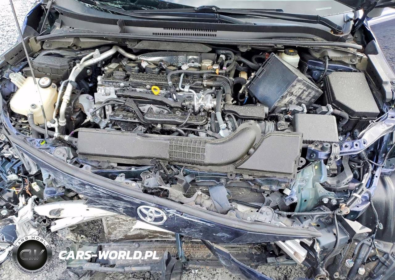 2020 Toyota Corolla Se VIN:JTDS4RCE4LJ027211 - 11