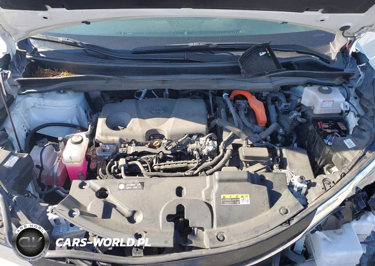 2024 Toyota Sienna Xle 7-Passenger VIN:5TDJSKFC4RS132880 - 12