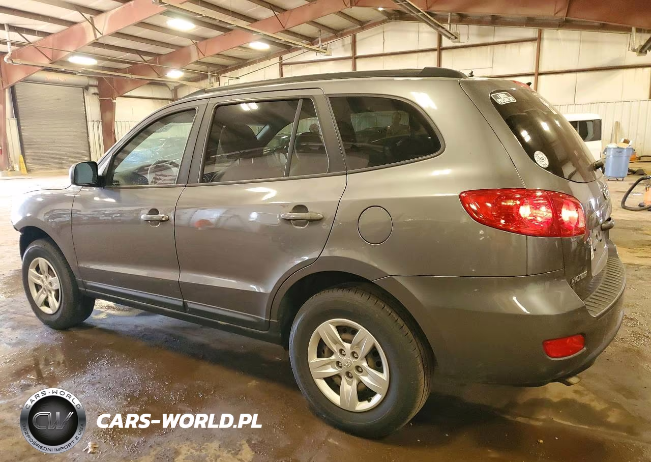 2009 Hyundai Santa Fe Gls VIN:5NMSG13D29H274788 - 2