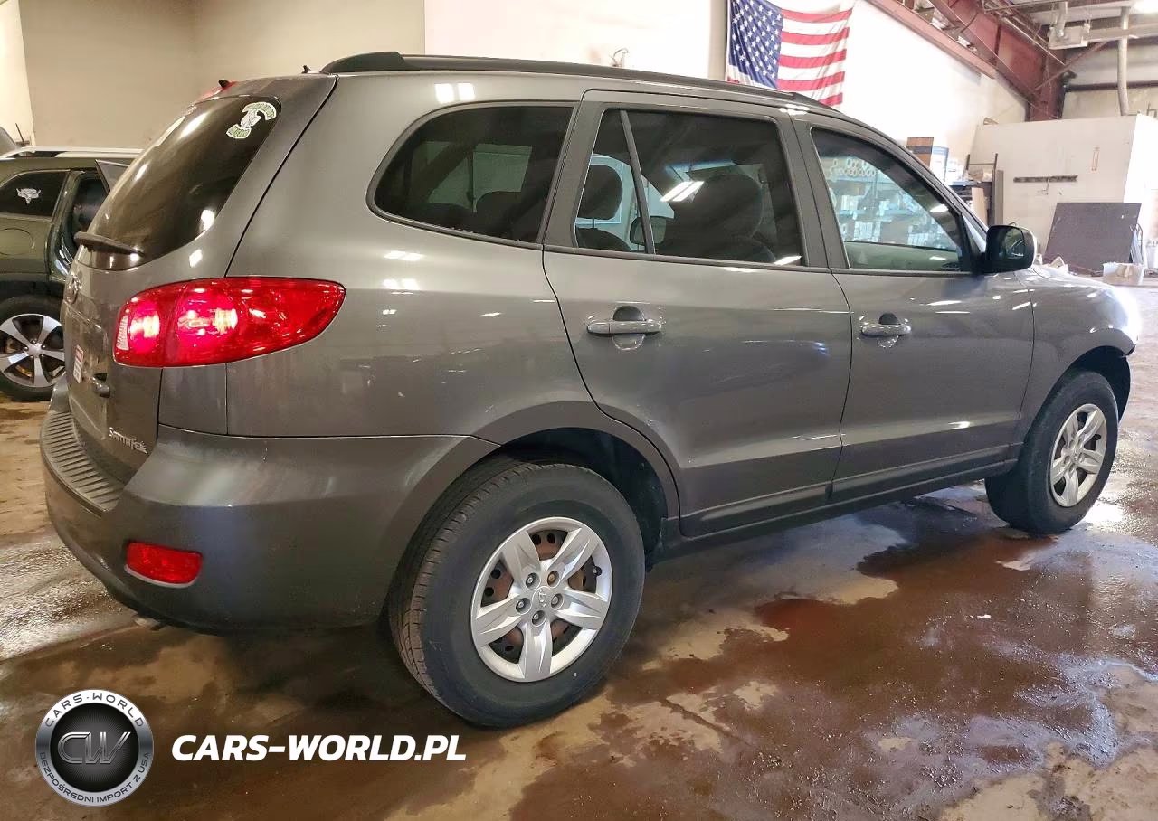 2009 Hyundai Santa Fe Gls VIN:5NMSG13D29H274788 - 3