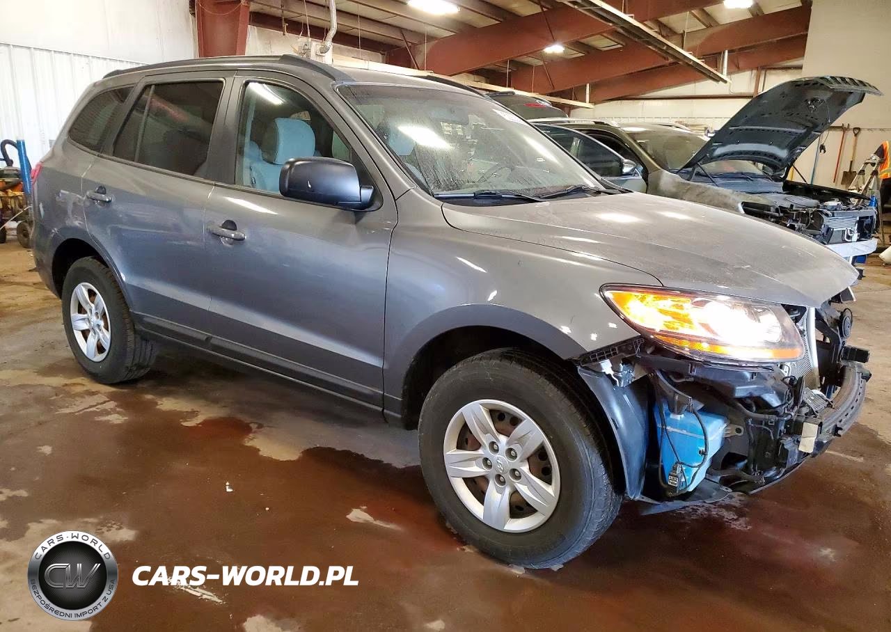2009 Hyundai Santa Fe Gls VIN:5NMSG13D29H274788 - 4