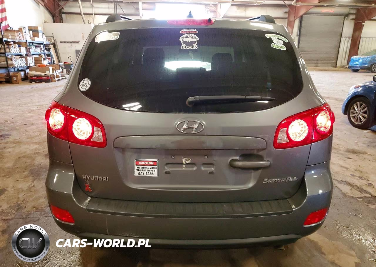 2009 Hyundai Santa Fe Gls VIN:5NMSG13D29H274788 - 6