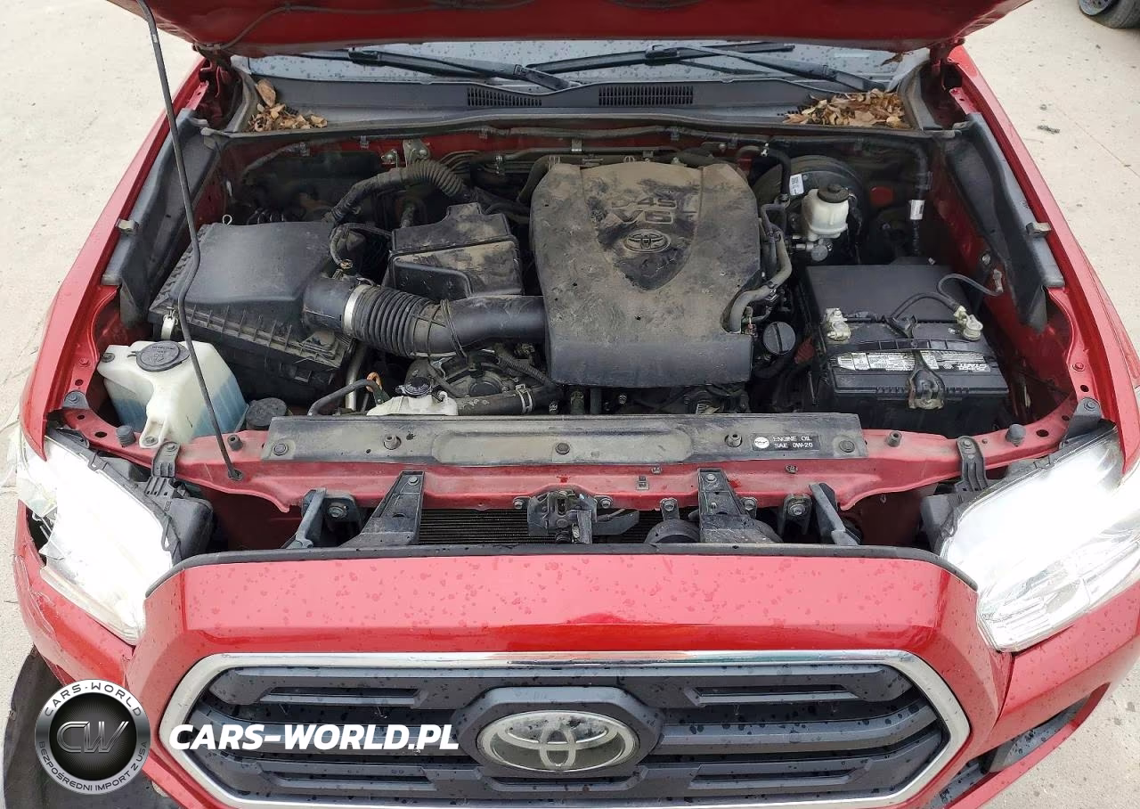 2019 Toyota Tacoma Sr5 V6 VIN:5TFAZ5CN5KX074586 - 11