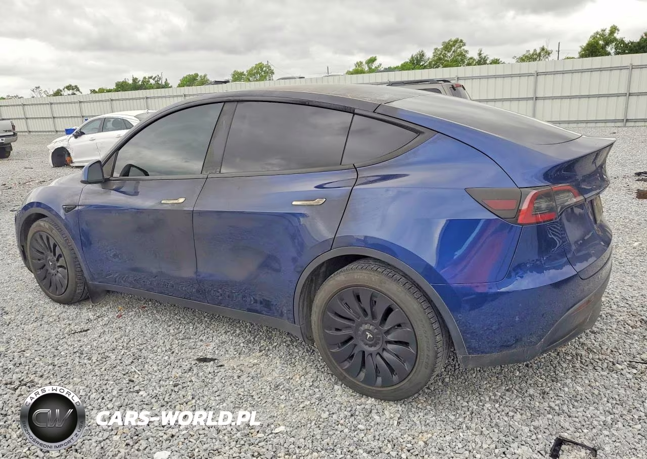 2022 Tesla Model Y VIN:7SAYGDEE3NF443510 - 2