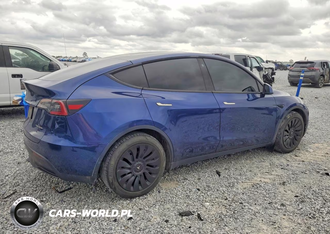 2022 Tesla Model Y VIN:7SAYGDEE3NF443510 - 3
