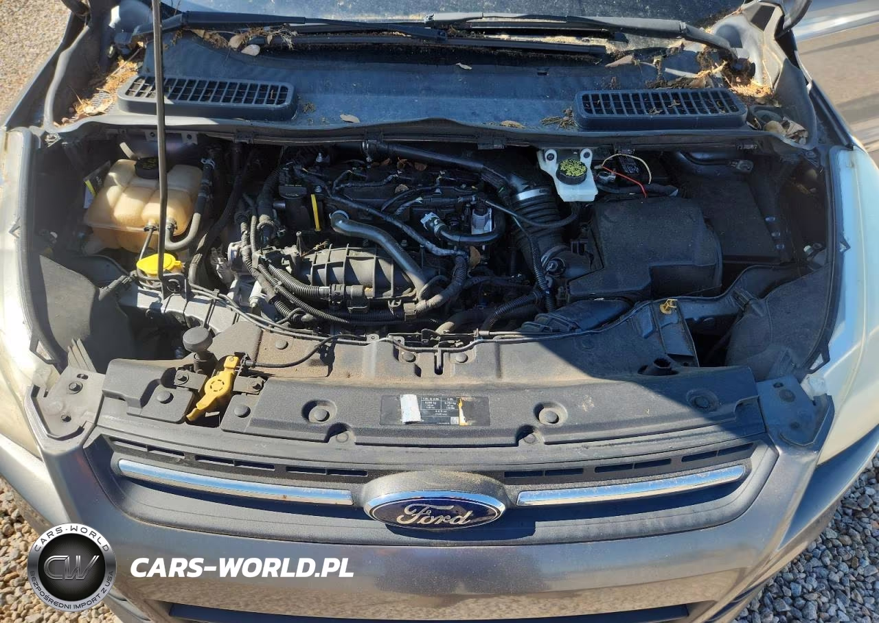 2014 Ford Escape Se VIN:1FMCU0GX3EUB33299 - 12