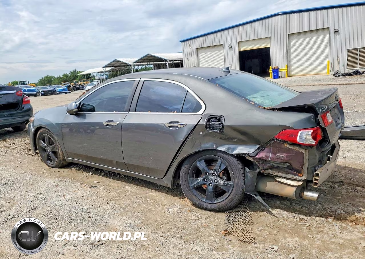 2009 Acura Tsx VIN:JH4CU26669C012513 - 2
