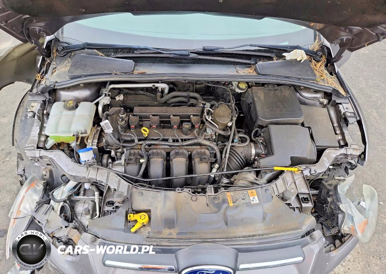 2014 Ford Focus Se VIN:1FADP3F26EL391755 - 11