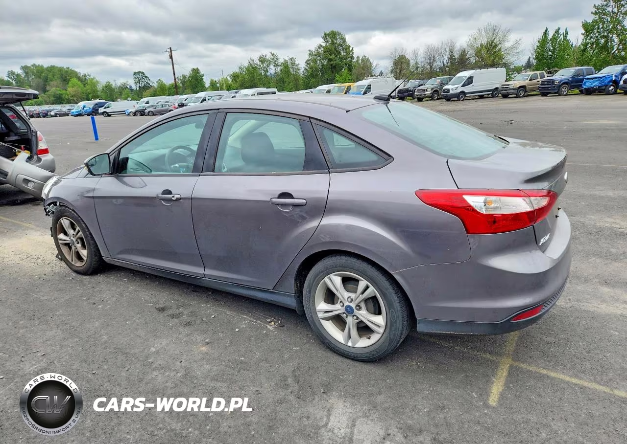 2014 Ford Focus Se VIN:1FADP3F26EL391755 - 2