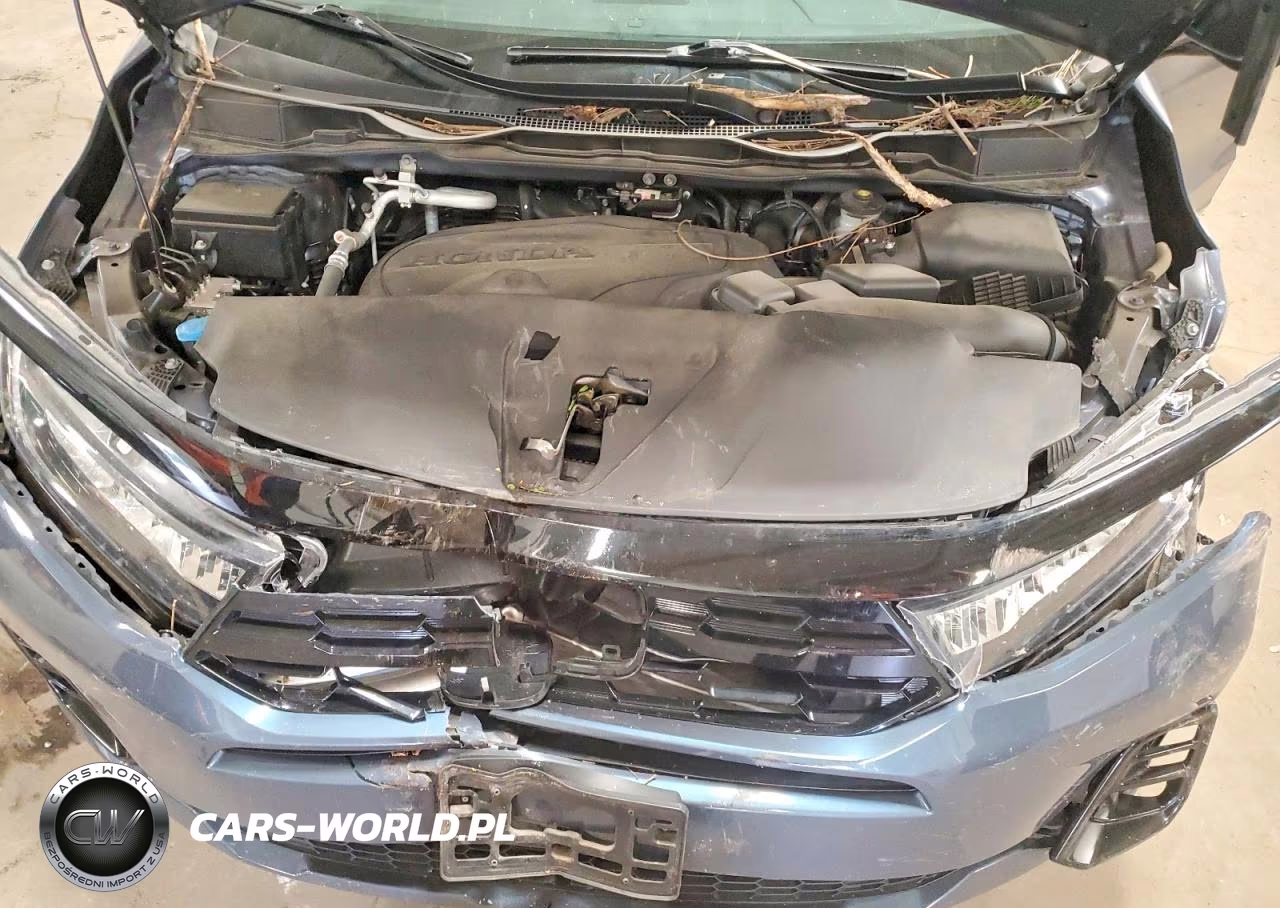 2025 Honda Odyssey Elite VIN:5FNRL6H98SB014978 - 12