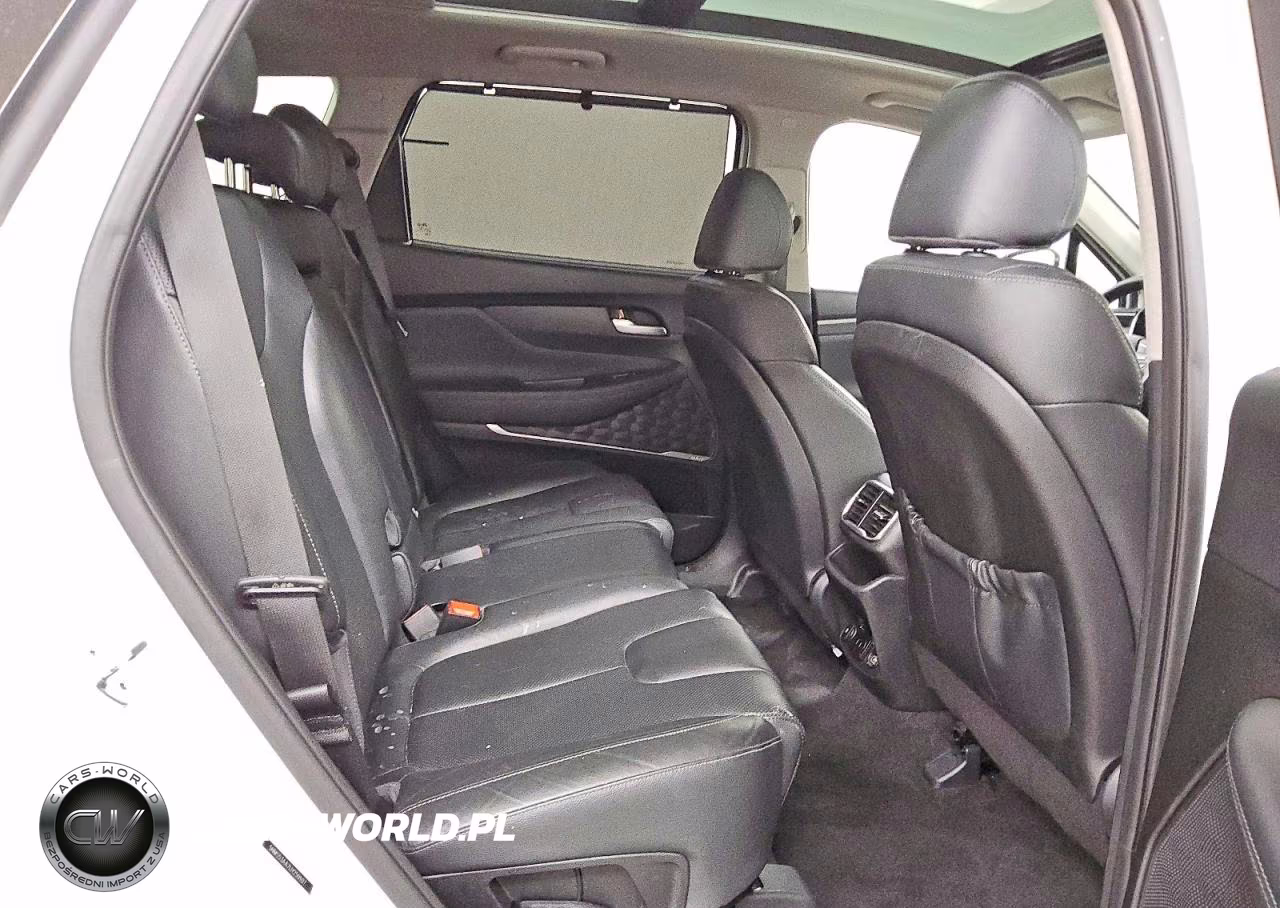 2020 Hyundai Santa Fe Limited 2.0T VIN:5NMS53AA7LH259107 - 11