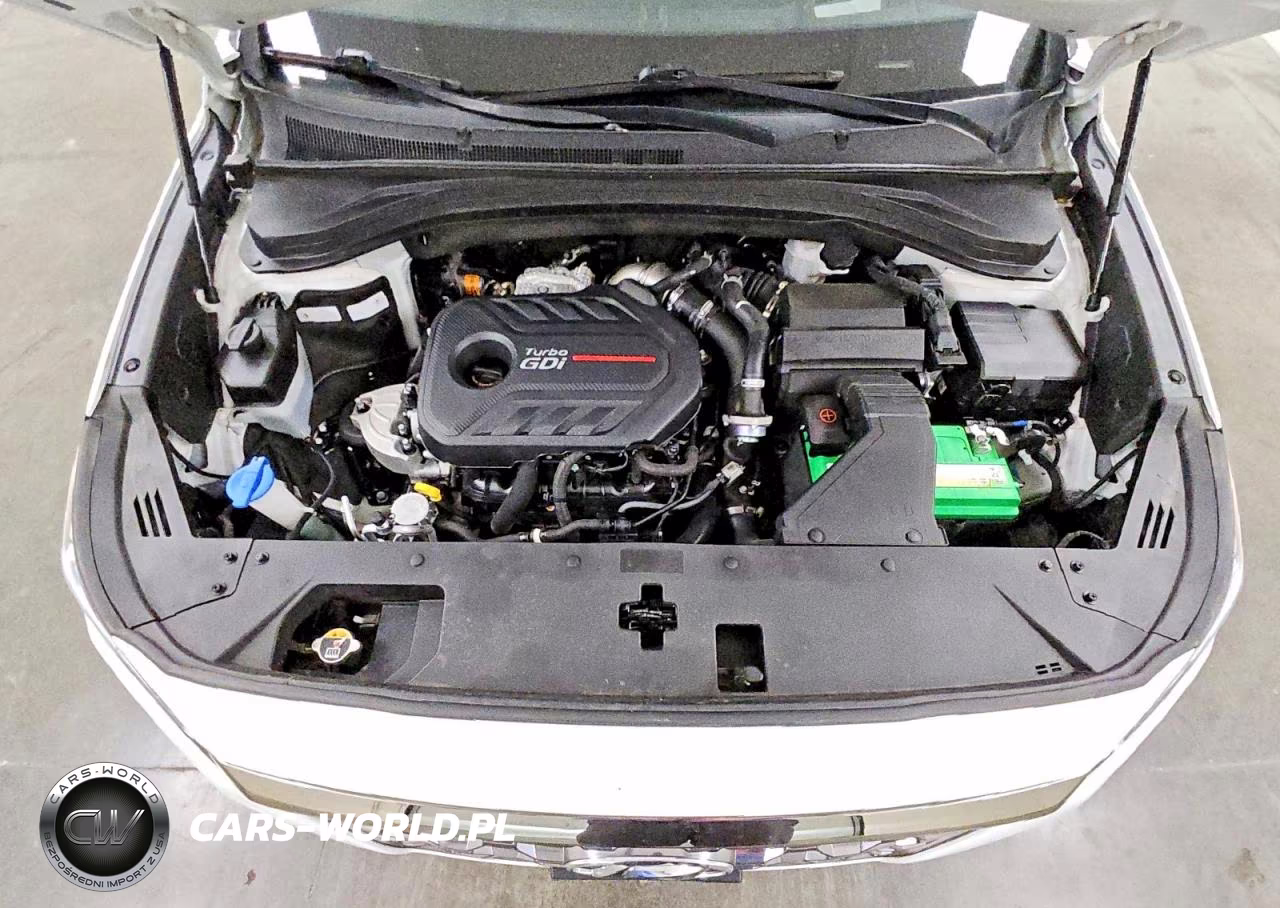 2020 Hyundai Santa Fe Limited 2.0T VIN:5NMS53AA7LH259107 - 12