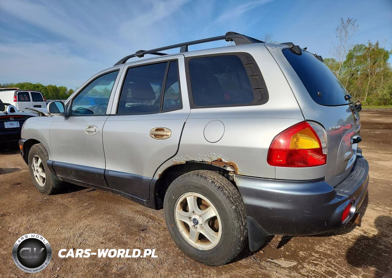 2003 Hyundai Santa Fe Gls VIN:KM8SC73D93U403006 - 2