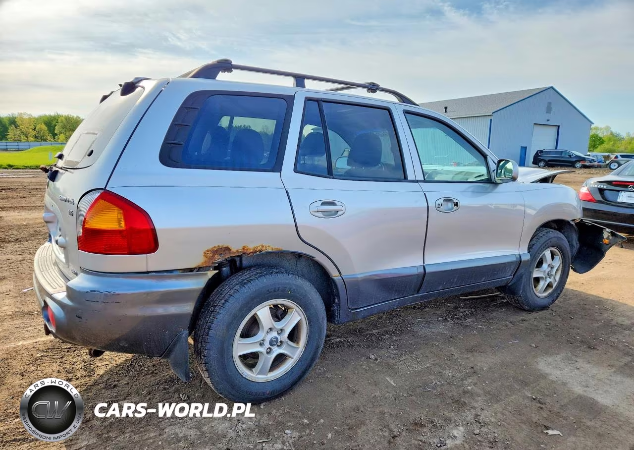 2003 Hyundai Santa Fe Gls VIN:KM8SC73D93U403006 - 3