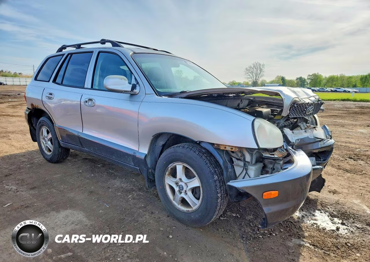 2003 Hyundai Santa Fe Gls VIN:KM8SC73D93U403006 - 4