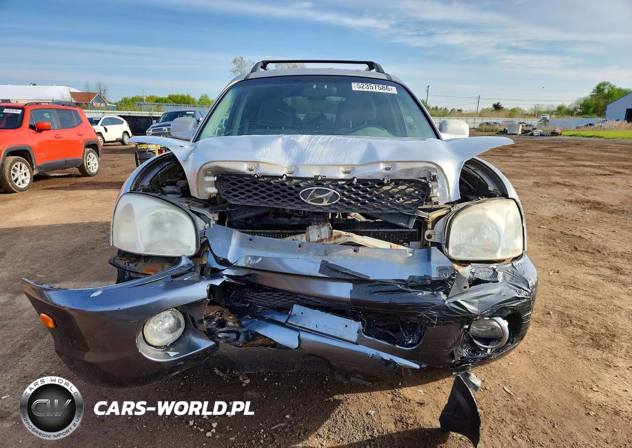 2003 Hyundai Santa Fe Gls VIN:KM8SC73D93U403006 - 5