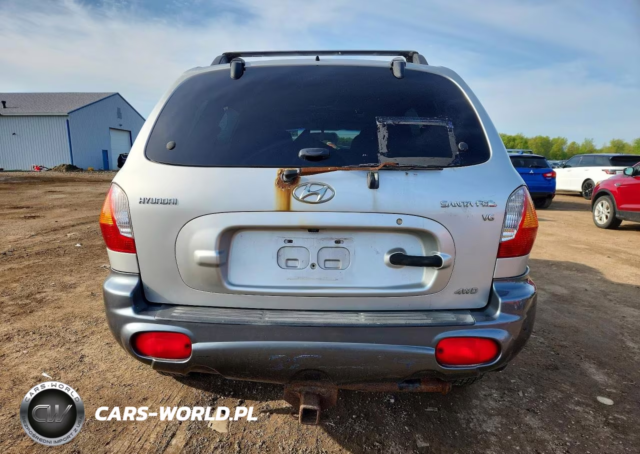 2003 Hyundai Santa Fe Gls VIN:KM8SC73D93U403006 - 6