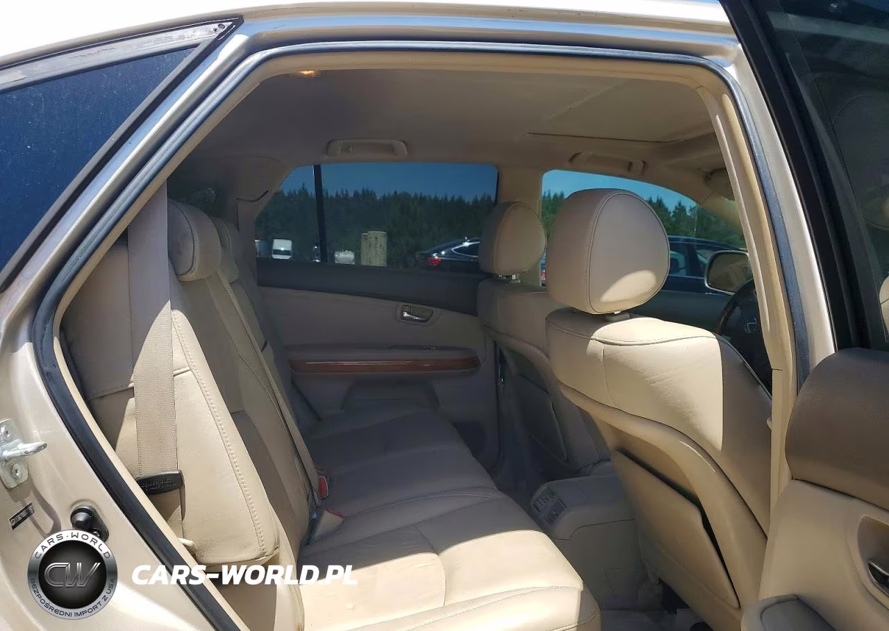 2007 Lexus Rx 350 VIN:2T2GK31U07C019901 - 10