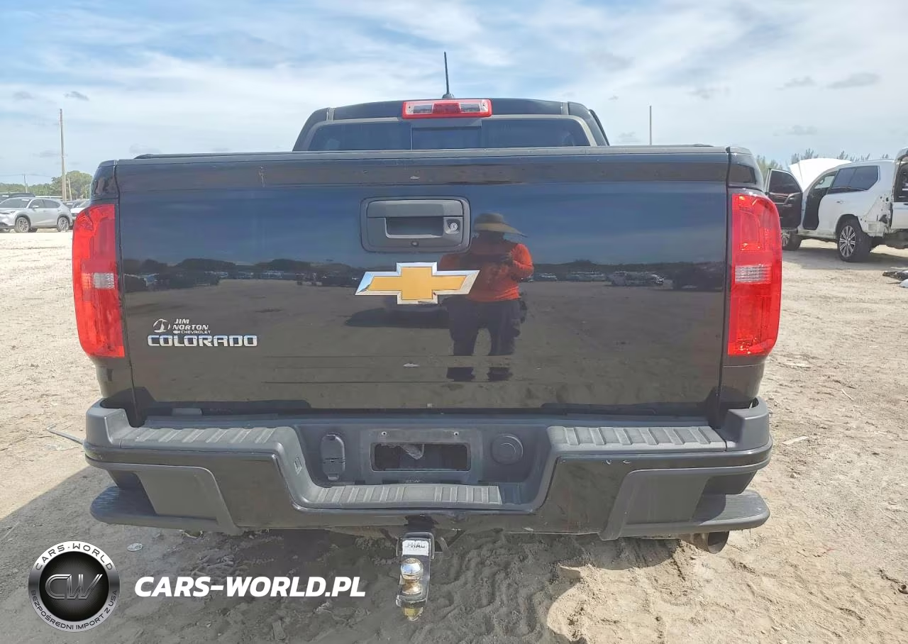 2016 Chevrolet Colorado Z71 VIN:1GCPTDE16G1315825 - 6