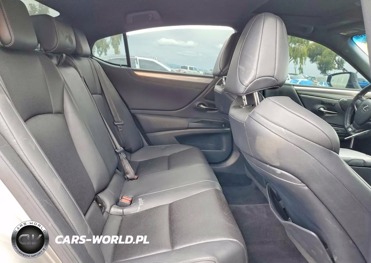 2020 Lexus Es 350 F Sport VIN:58AGZ1B1XLU065245 - 10