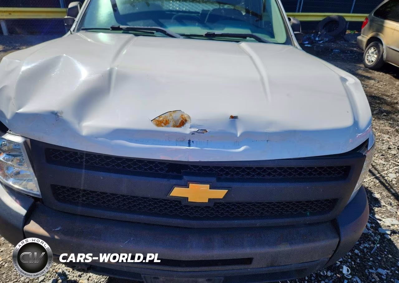 2013 Chevrolet Silverado C1500 VIN:1GCNCPEX2DZ354812 - 11
