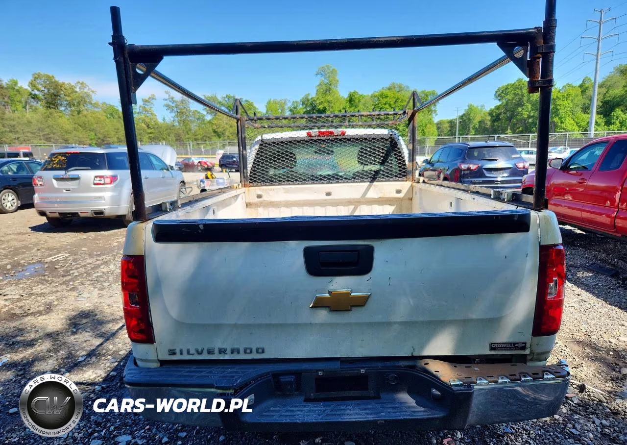 2013 Chevrolet Silverado C1500 VIN:1GCNCPEX2DZ354812 - 6
