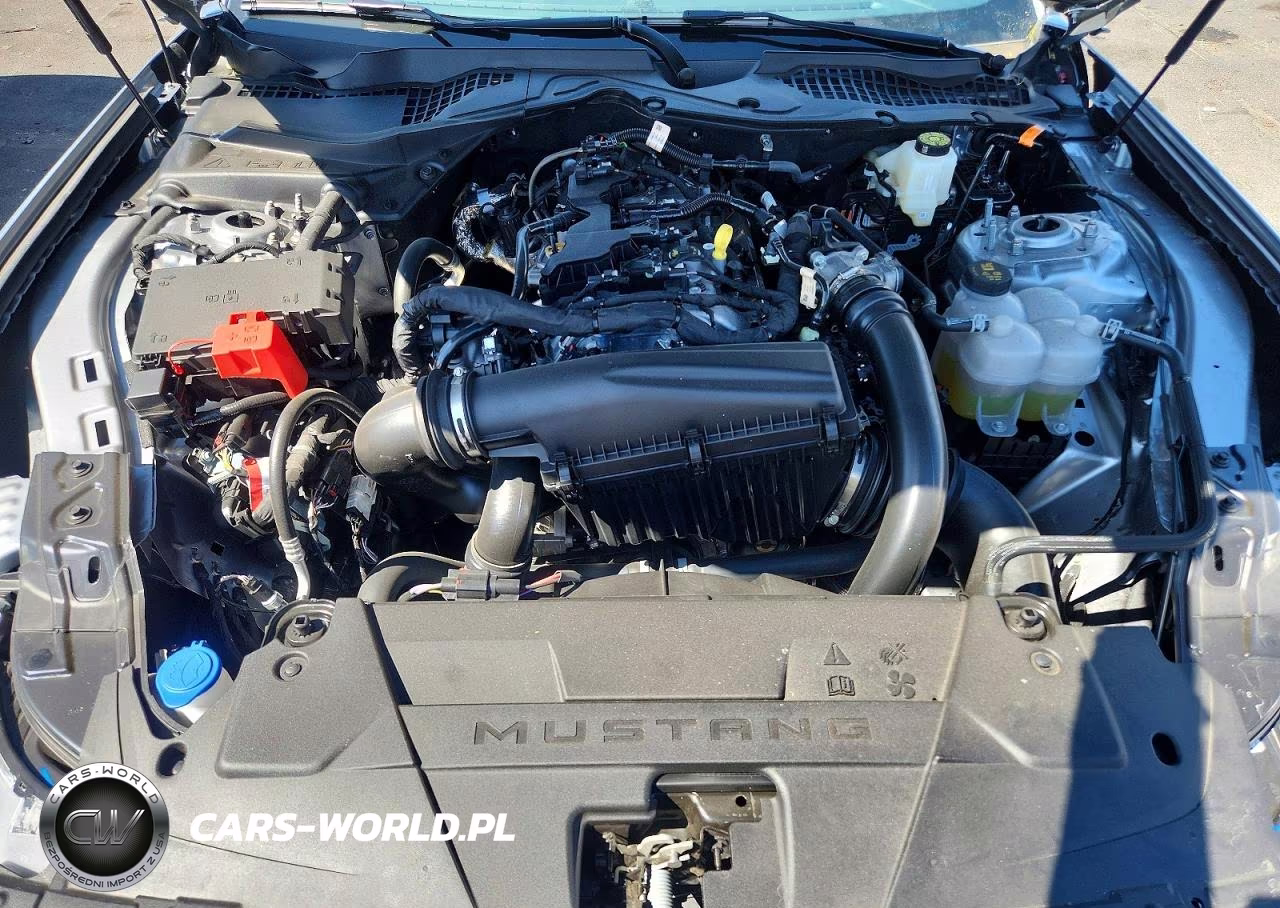 2026 Ford Mustang VIN:1FA6P8TH3T5113251 - 11