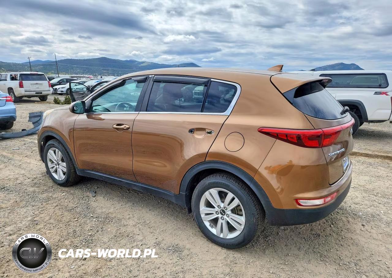 2017 Kia Sportage Lx VIN:KNDPM3AC2H7236603 - 2