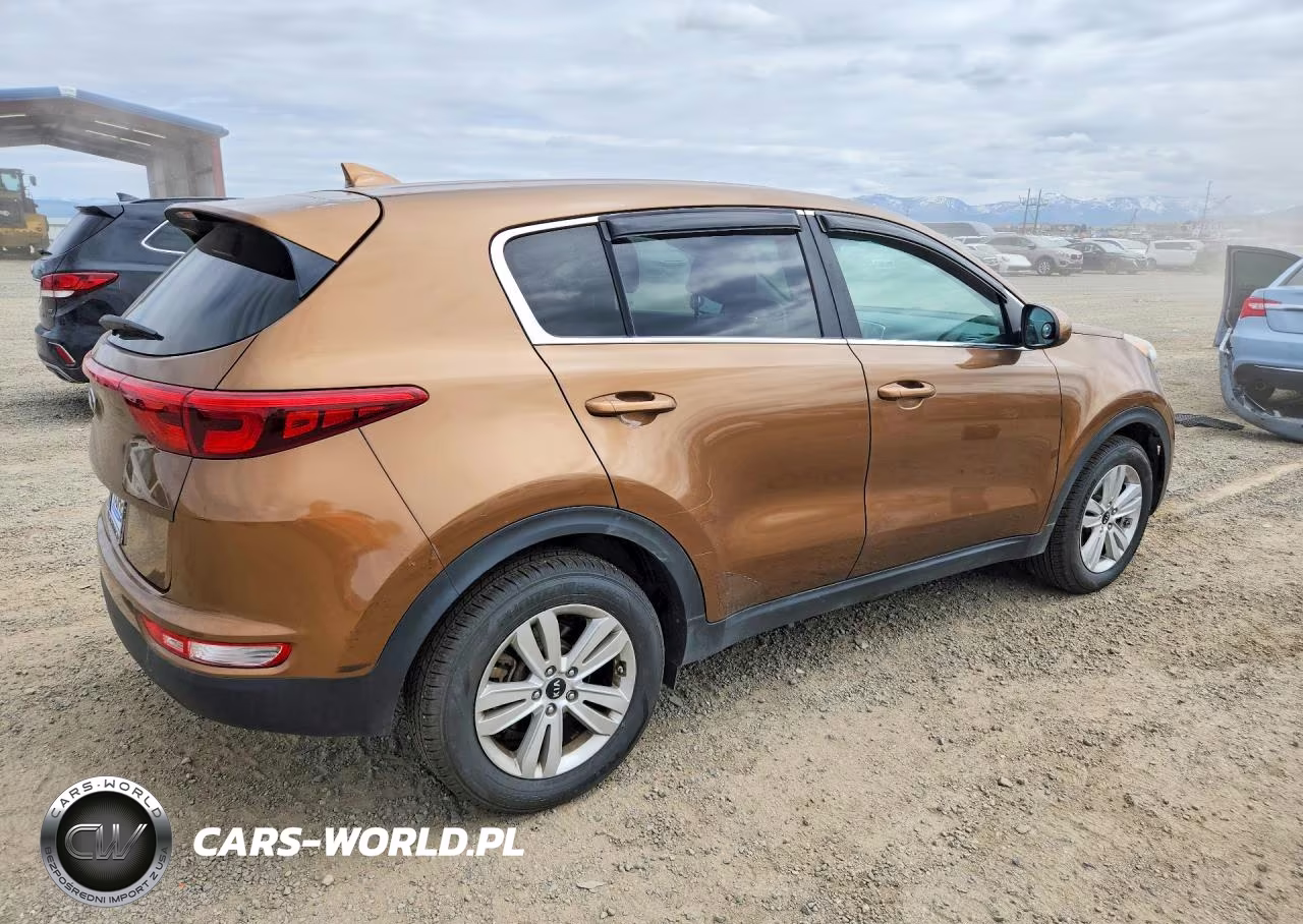 2017 Kia Sportage Lx VIN:KNDPM3AC2H7236603 - 3