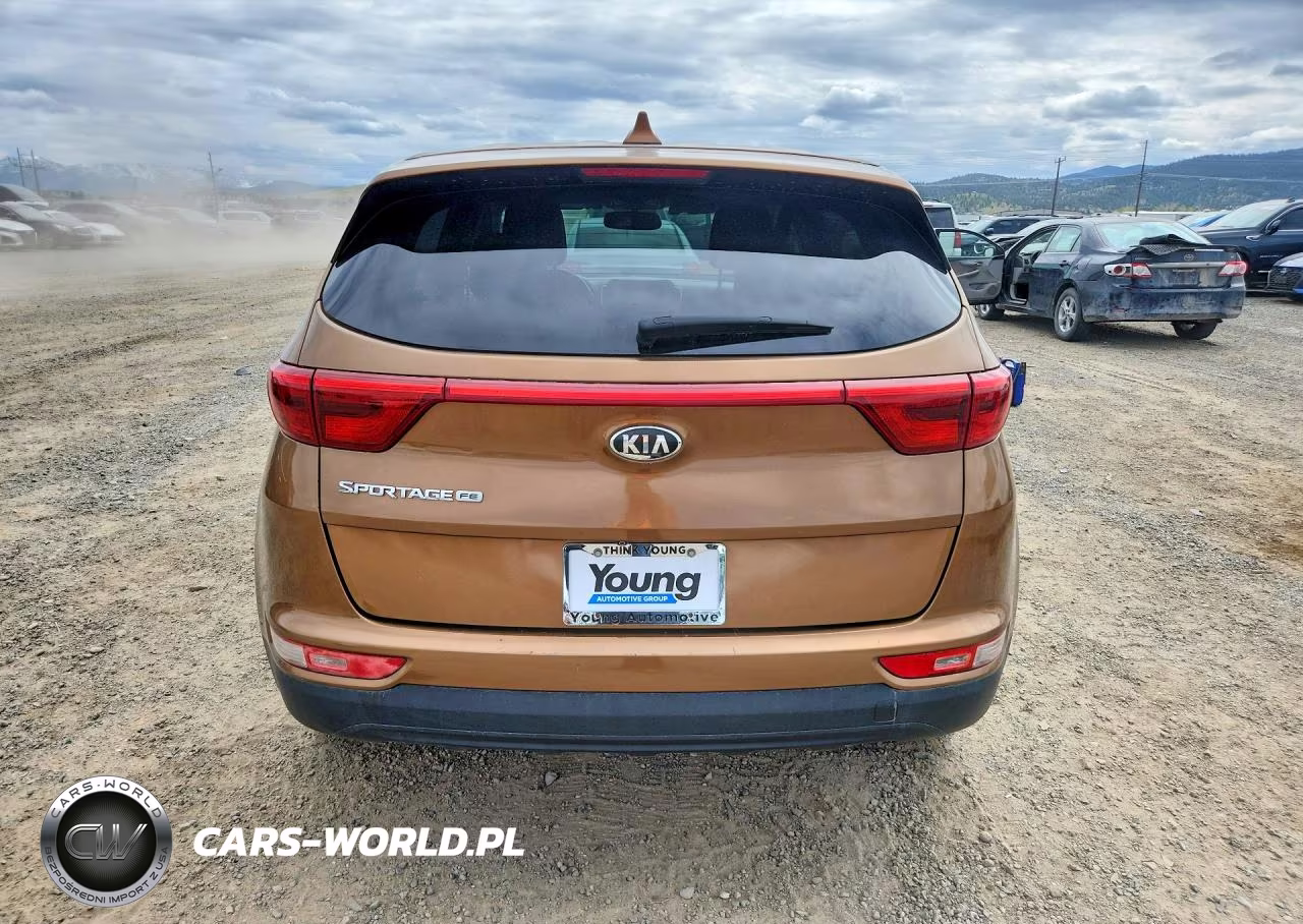 2017 Kia Sportage Lx VIN:KNDPM3AC2H7236603 - 6