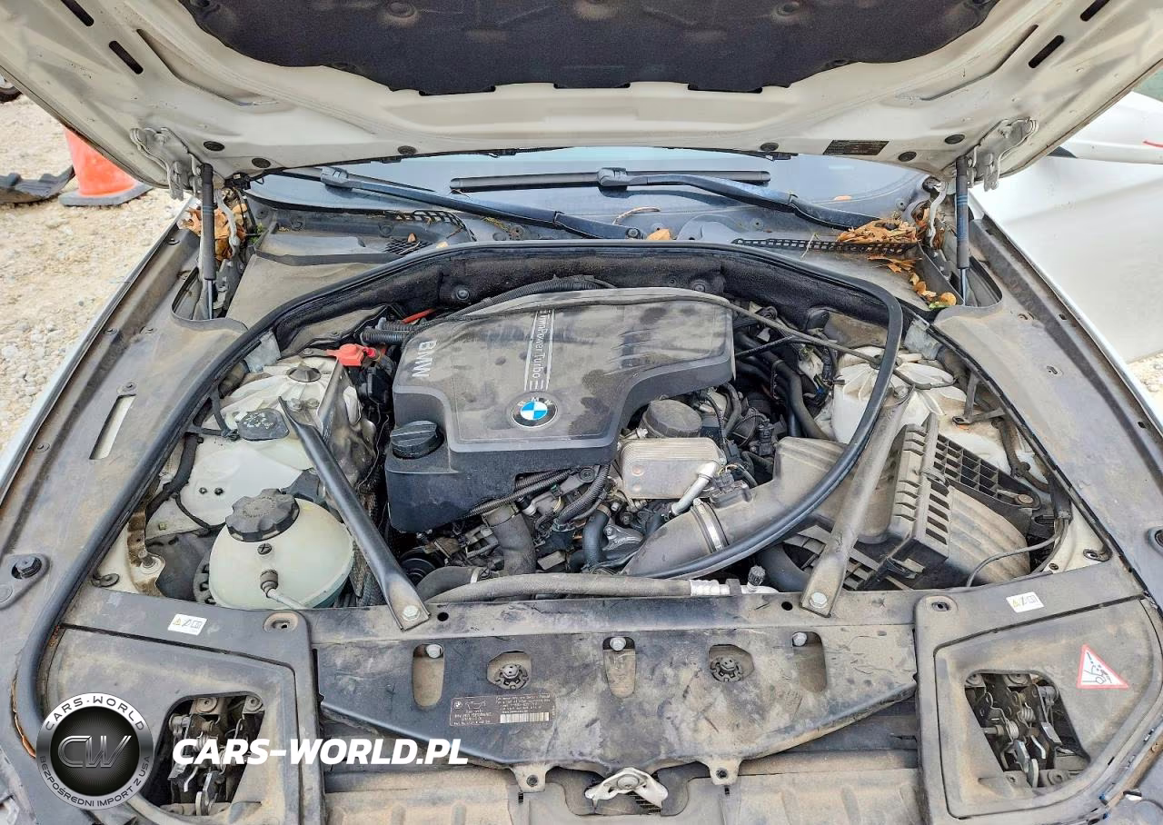 2013 BMW 528 I VIN:WBAXG5C5XDDY36621 - 11
