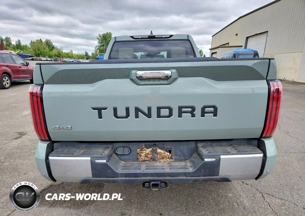 2024 Toyota Tundra 1794 Edition Hv VIN:5TFMC5EC6RX007970 - 6
