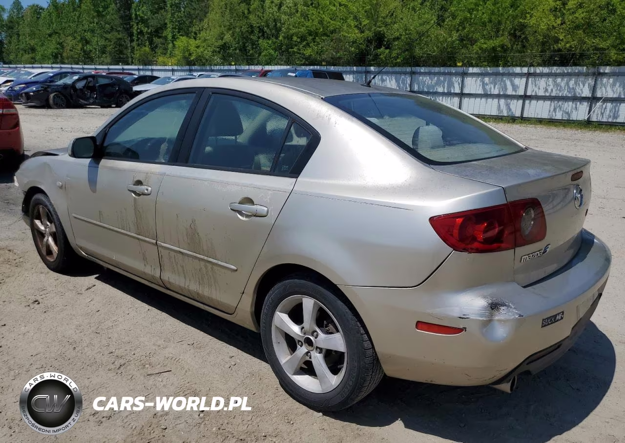 2004 Mazda 3 VIN:JM1BK12FX41176483 - 2