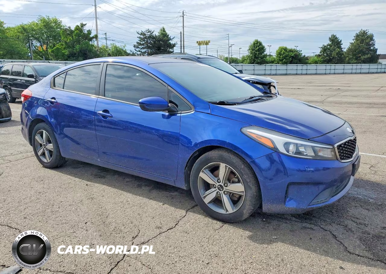 2018 Kia Forte Lx VIN:3KPFL4A71JE213889 - 4
