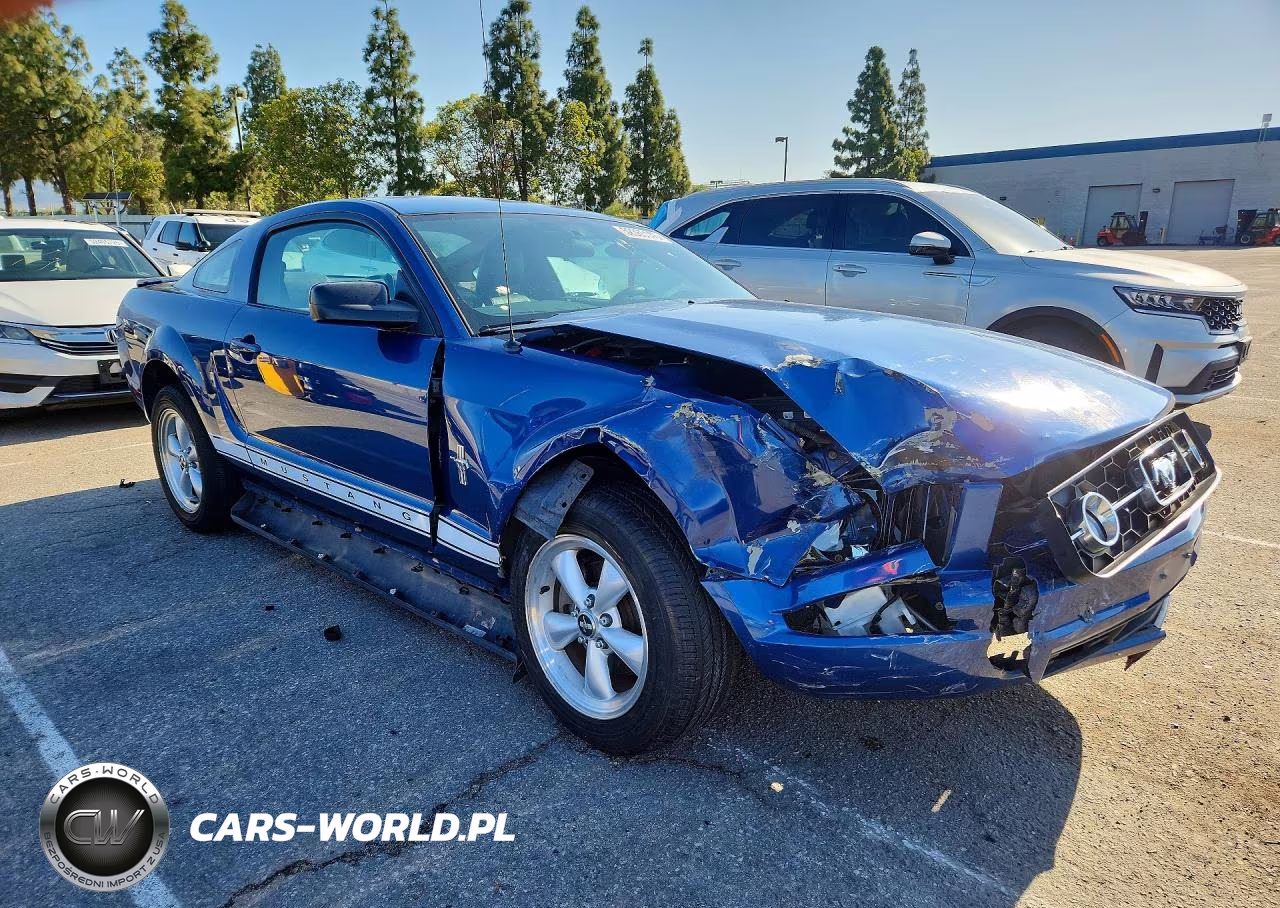 2007 Ford Mustang VIN:1ZVHT80N575243141 - 4