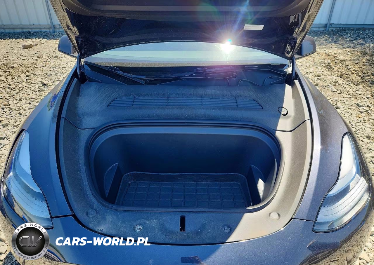2024 Tesla Model Y VIN:7SAYGDED9RF155312 - 11