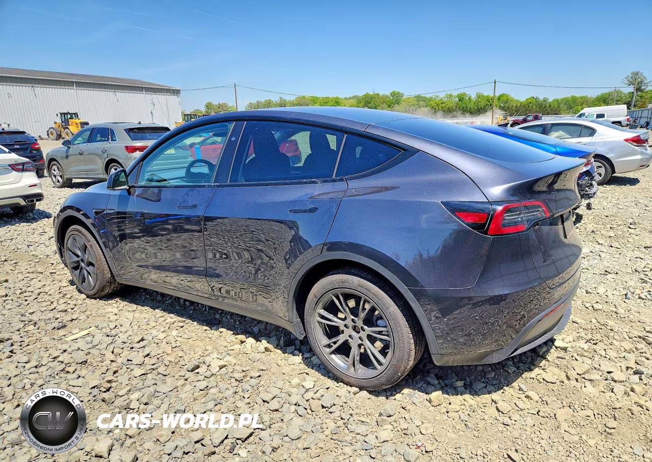 2024 Tesla Model Y VIN:7SAYGDED9RF155312 - 2
