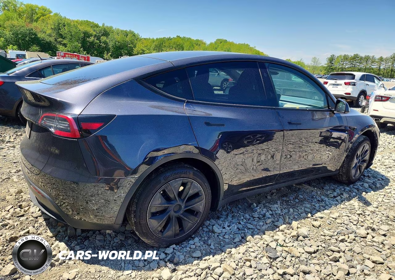 2024 Tesla Model Y VIN:7SAYGDED9RF155312 - 3