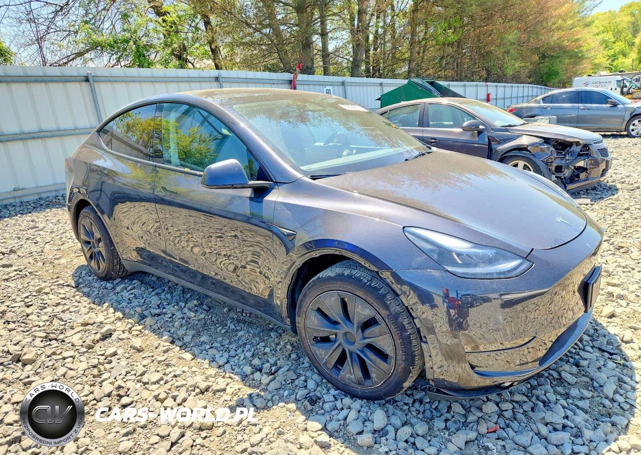 2024 Tesla Model Y VIN:7SAYGDED9RF155312 - 4