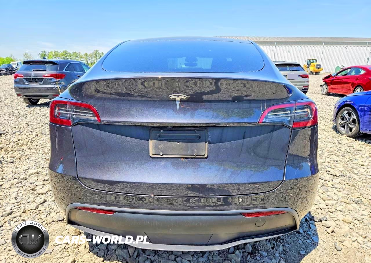 2024 Tesla Model Y VIN:7SAYGDED9RF155312 - 6