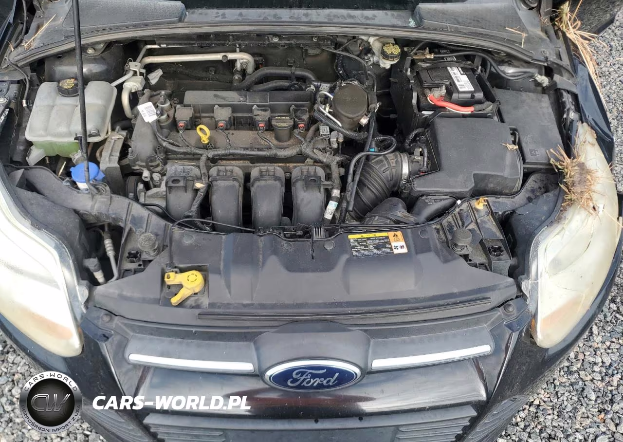 2014 Ford Focus Se VIN:1FADP3F29EL262490 - 11