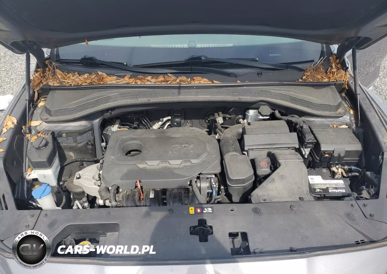 2019 Hyundai Santa Fe Sel 2.4L VIN:5NMS33AD8KH077561 - 12