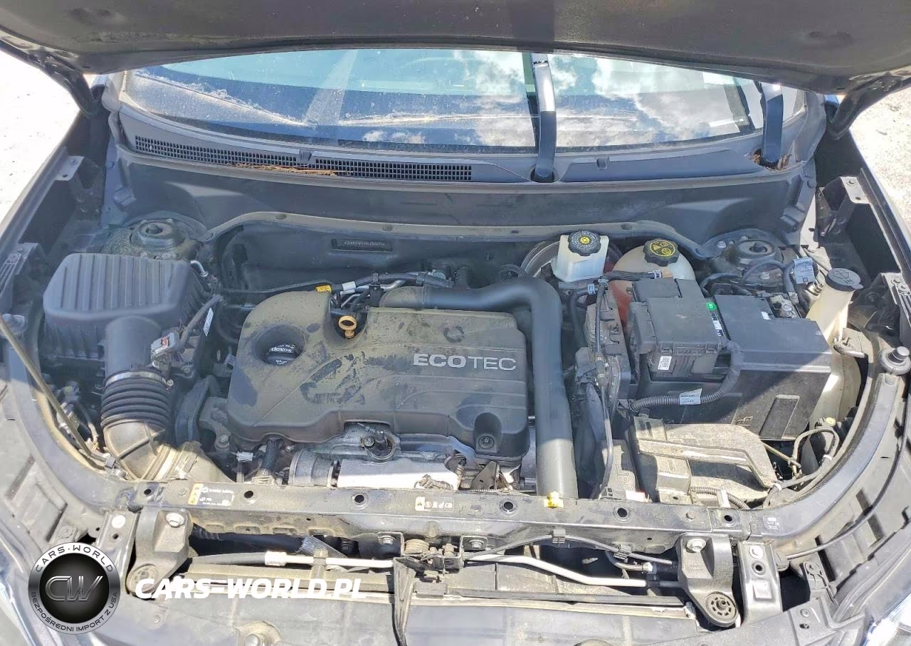 2019 Chevrolet Equinox Ls VIN:3GNAXHEV1KL288692 - 12