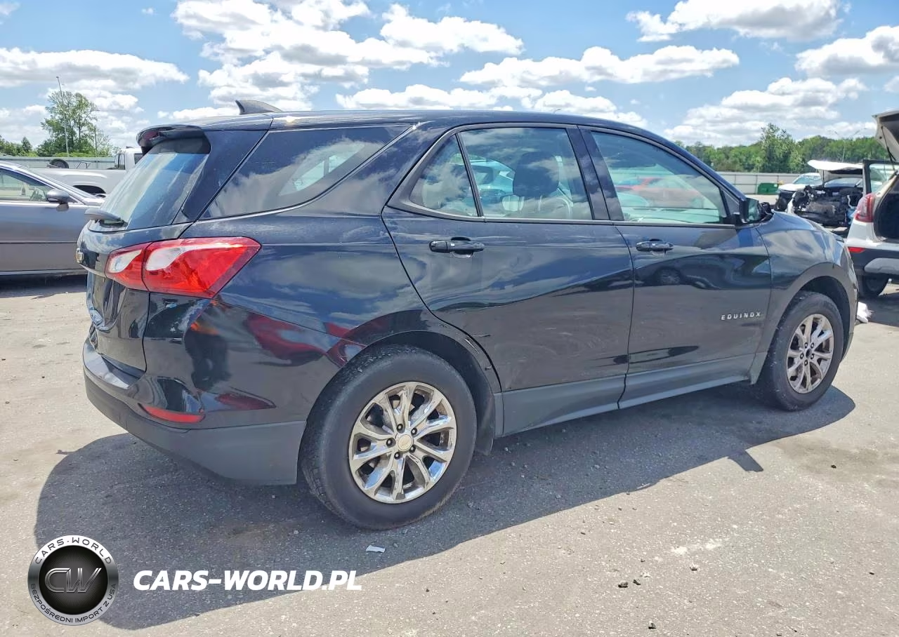 2019 Chevrolet Equinox Ls VIN:3GNAXHEV1KL288692 - 3