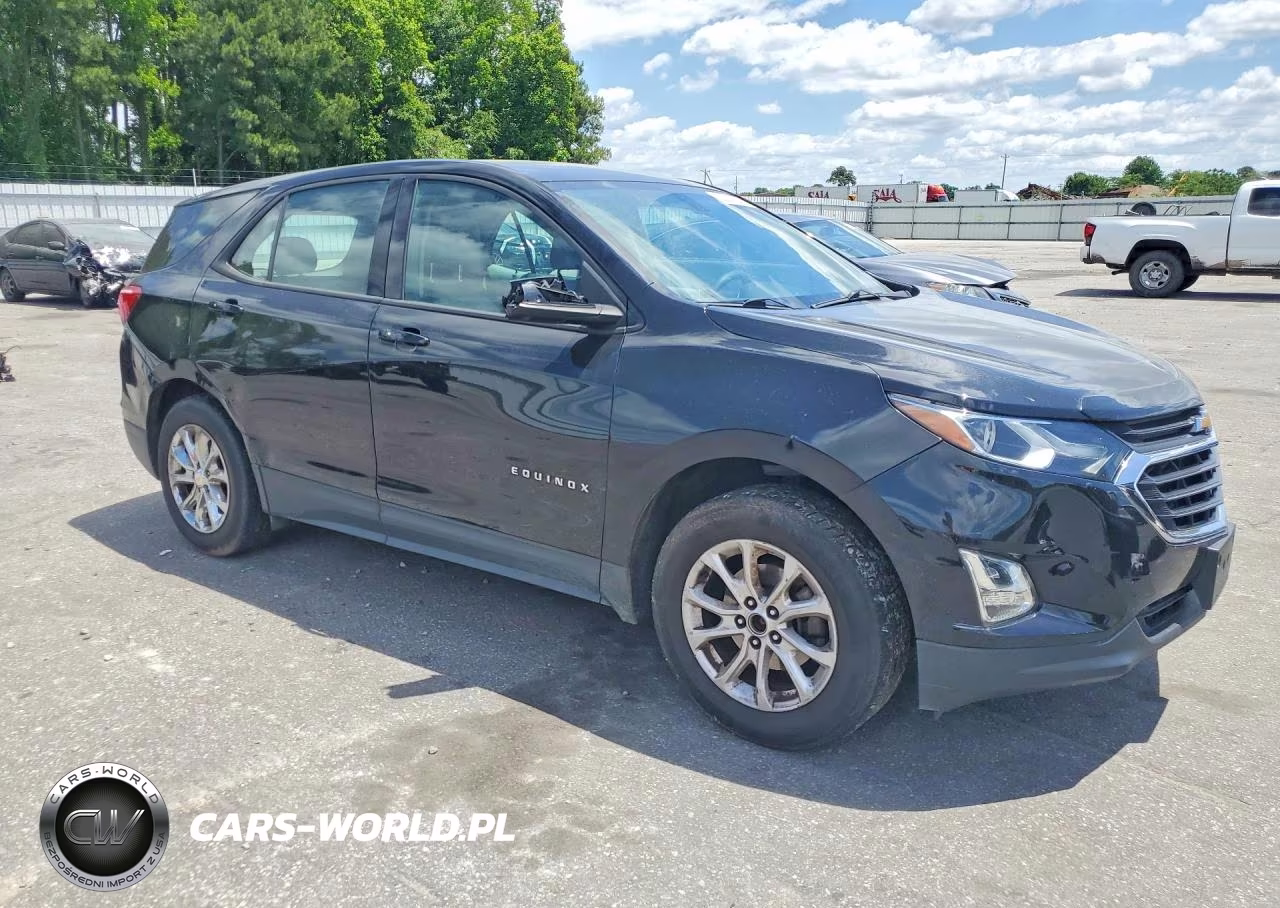 2019 Chevrolet Equinox Ls VIN:3GNAXHEV1KL288692 - 4