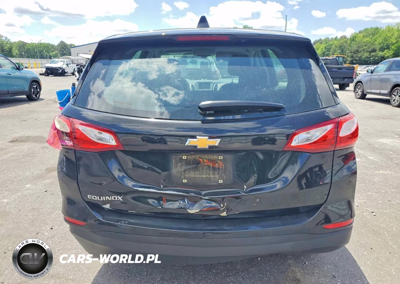 2019 Chevrolet Equinox Ls VIN:3GNAXHEV1KL288692 - 6